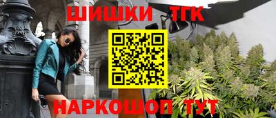 МДПВ Сланцы