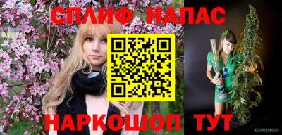 МДПВ Сланцы
