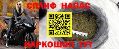 МДПВ Сланцы