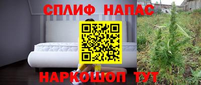МДПВ Сланцы